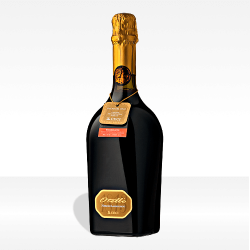 "Otello NeroDiLambrusco 1813" oro Emilia IGT - Cantine Ceci