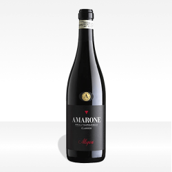 Amarone della Valpolicella Classico DOCG di Allegrini, vino veneto vendita online