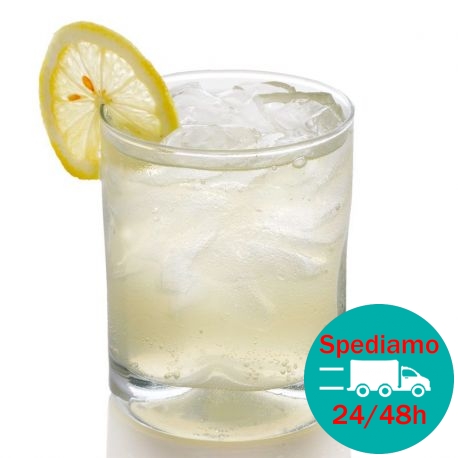 Gin Lemon (kit per 10 cocktails)