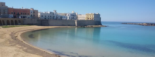 I vini del Salento