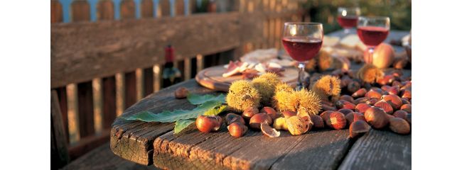 Vino novello: cos'è, quando e come si produce